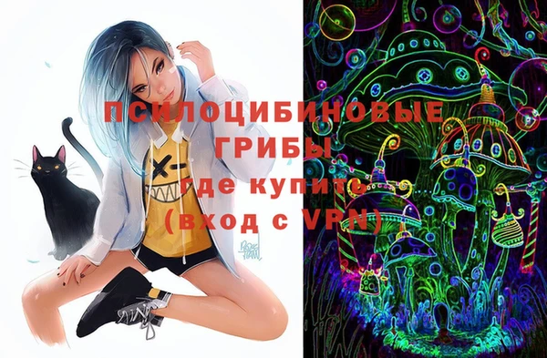 индика Абдулино