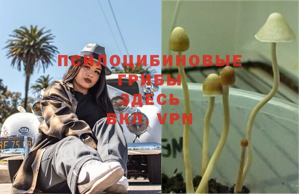 индика Абдулино