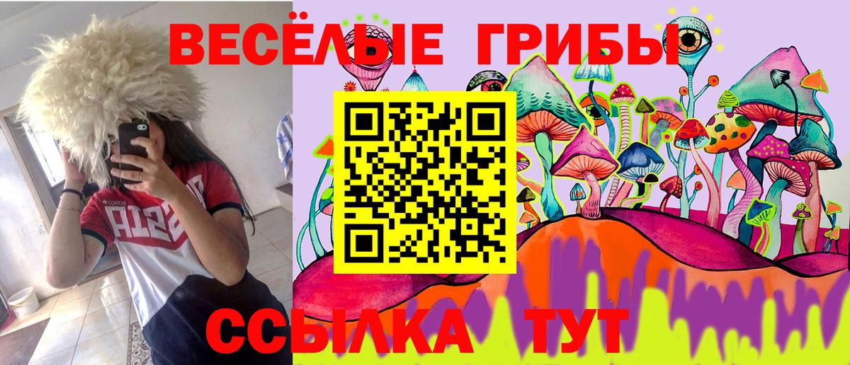 Псилоцибиновые грибы Magic Shrooms Прохладный