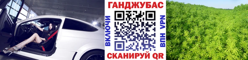 Бошки марихуана Bruce Banner  Прохладный 