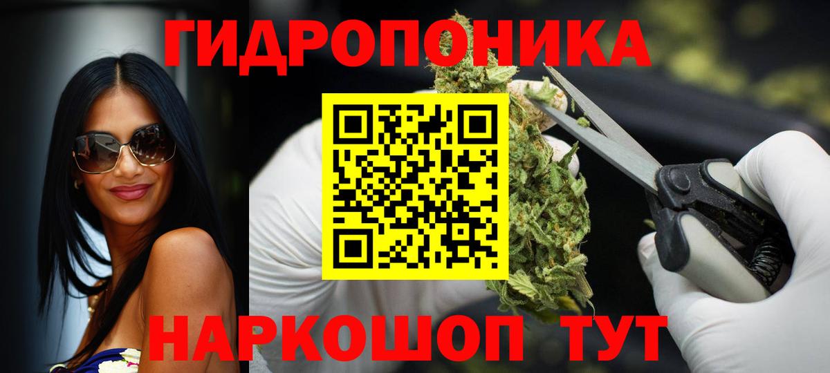 ГАШИШ Прохладный